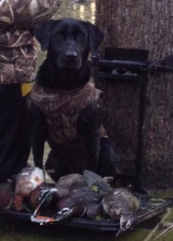 Docheno's Rough Warrior Annie